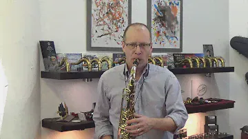 Yani AW037 alto sax silver